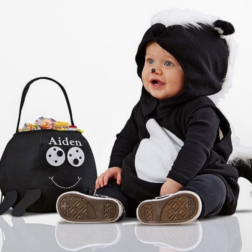 Pottery Barn Kids Skunk Halloween Costume
